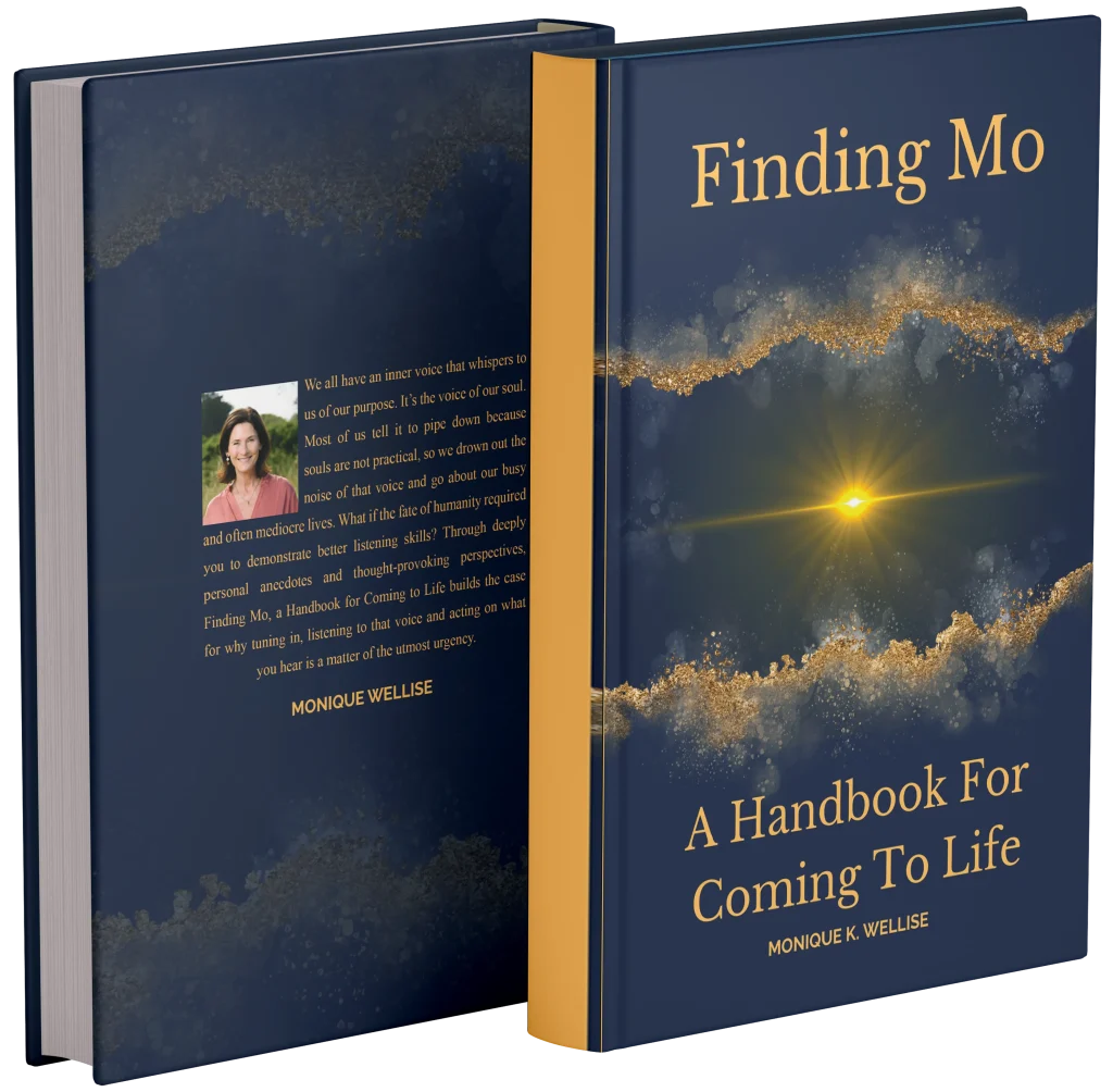 Front and back covers of the book "Finding Mo: A Handbook For Coming To Life" by Monique K. Wellise